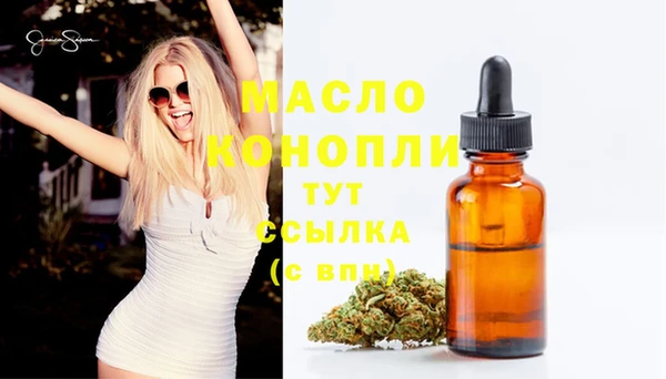 шишки Медногорск