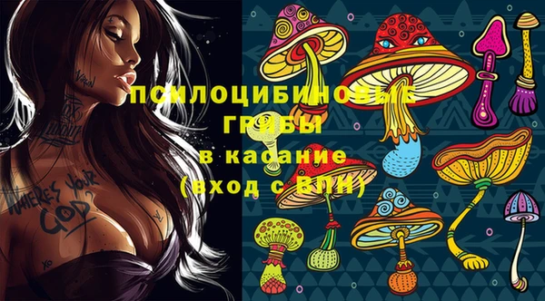 кокс Магас