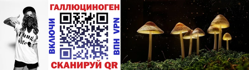 закладки  Когалым  Галлюциногенные грибы GOLDEN TEACHER 