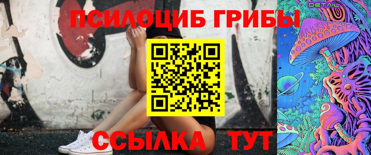 Галлюциногенные грибы Psilocybe Когалым