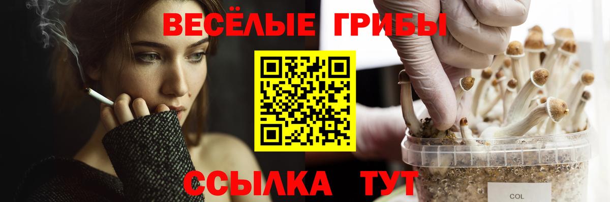 Когалым  Псилоцибиновые грибы ЛСД  Вход с VPN  Галлюциногенные грибы мухоморы 